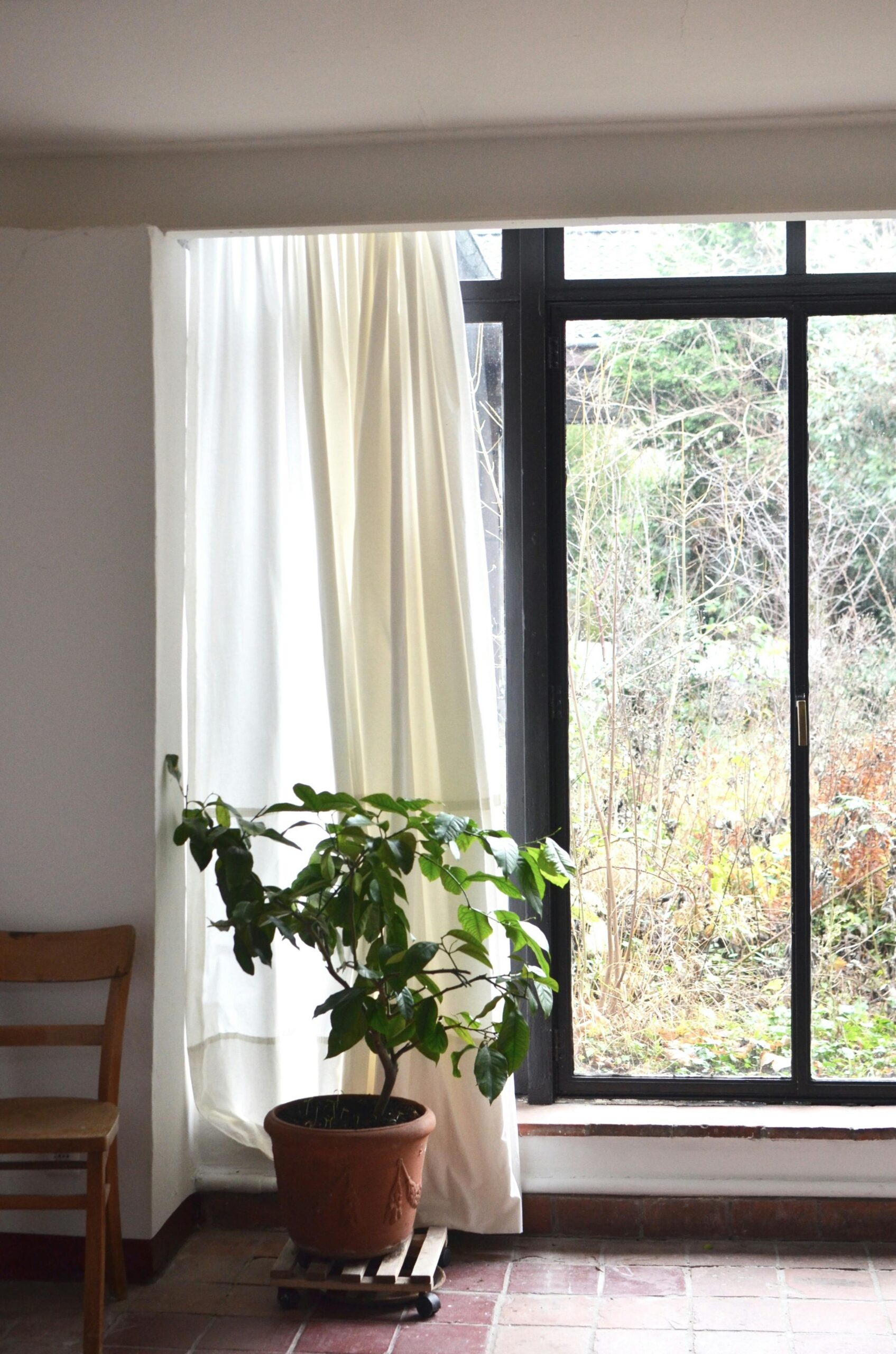 Why Choose Fast Glass for Window Repair in Denver Metro